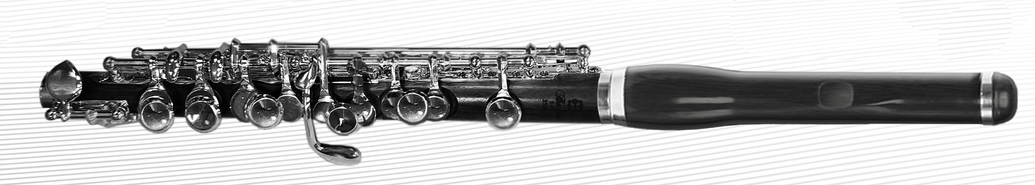 BOSTON-S-20-GR3 Flute-Flauta-Flote-Boston-piccolo-flautin-ottavino-economy-económica